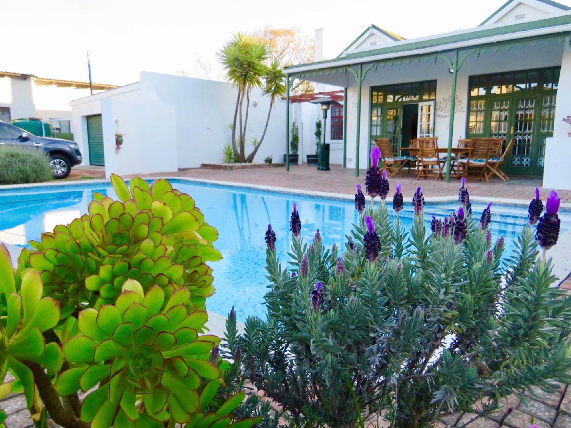 Whistlewood Guesthouse Walmer, Port Eizabeth Port Elizabeth Luaran gambar