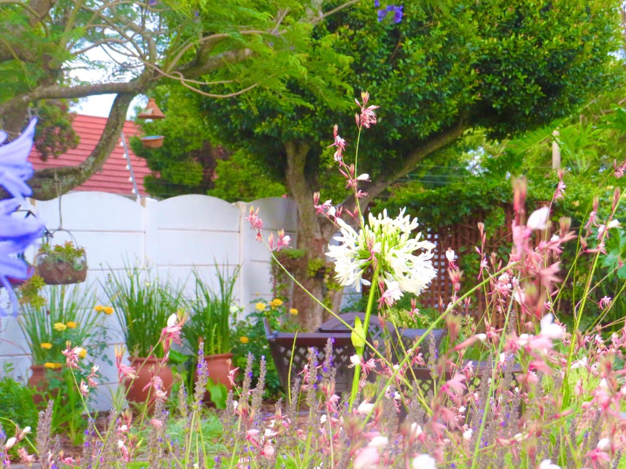 Whistlewood Guesthouse Walmer, Port Eizabeth Port Elizabeth Luaran gambar